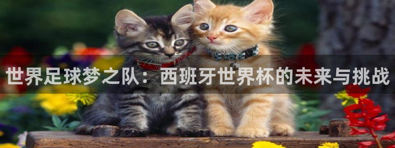 世界杯:世界足球梦之队:西班牙世界杯的未来与挑战