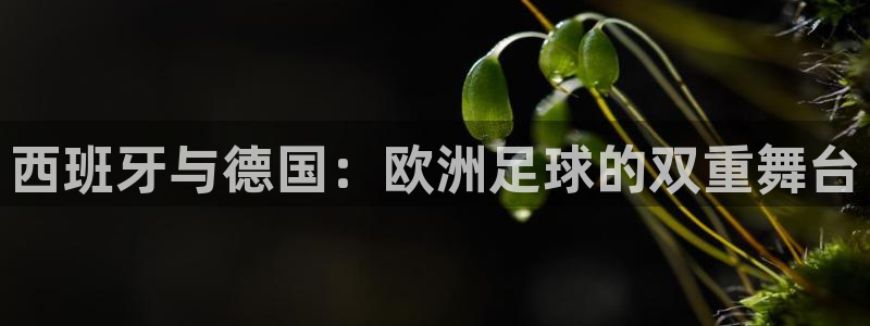 足球世界杯赛程:西班牙与德国:欧洲足球的双重舞台