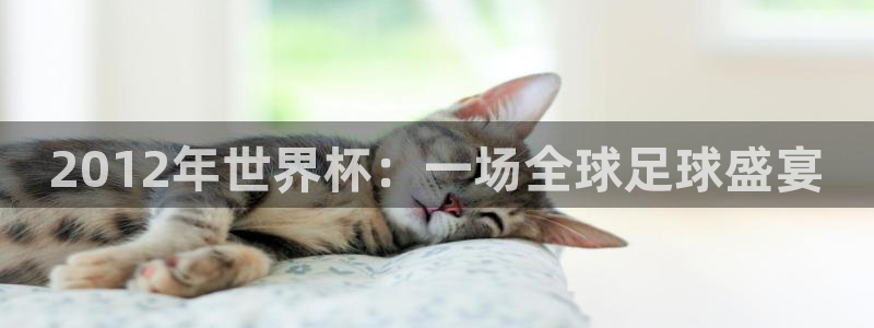 足球世界杯时间:2012年世界杯:一场全球足球盛宴