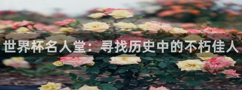 2026世界杯赛程时间表最新:世界杯名人堂:寻找历史中的不朽佳人
