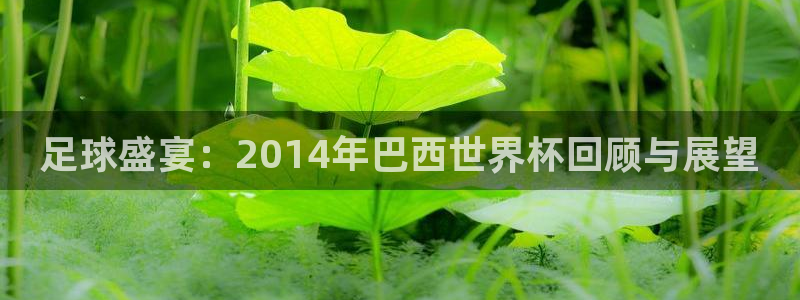 2026年男足世界杯:足球盛宴:2014年巴西世界杯回顾与展望