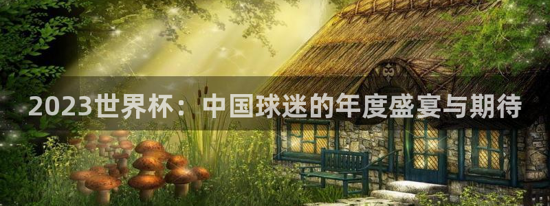 世界杯球赛:2023世界杯:中国球迷的年度盛宴与期待