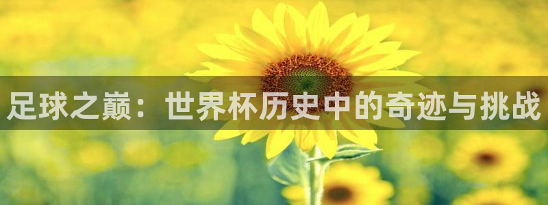 葡萄牙世界杯赛程:足球之巅:世界杯历史中的奇迹与挑战