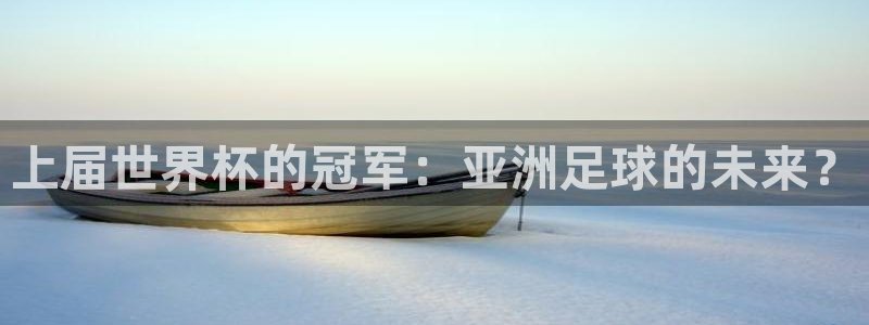 2026世界杯官网:上届世界杯的冠军:亚洲足球的未来?