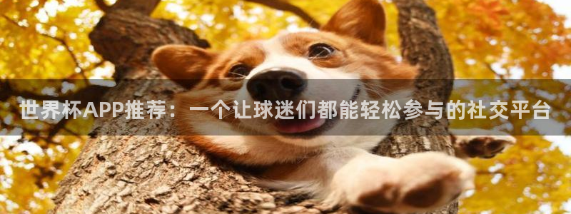 世界杯欧洲区赛程:世界杯APP推荐:一个让球迷们都能轻松参与的社交平台