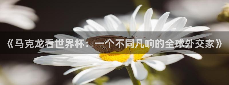 世界杯赛程2026:《马克龙看世界杯:一个不同凡响的全球外交家》